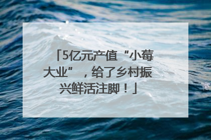 5亿元产值“小莓大业”，给了乡村振兴鲜活注脚！