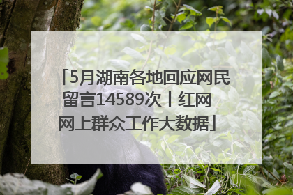 5月湖南各地回应网民留言14589次丨红网网上群众工作大数据