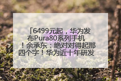 6499元起，华为发布Pura80系列手机！余承东：绝对对得起那四个字！华为近十年研发投入12490亿元