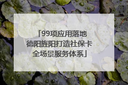 99项应用落地 德阳旌阳打造社保卡全场景服务体系