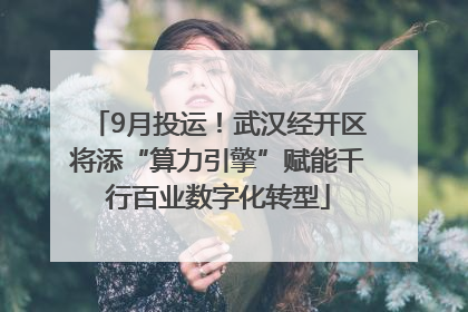 9月投运！武汉经开区将添“算力引擎”赋能千行百业数字化转型