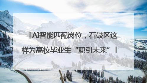 AI智能匹配岗位，石鼓区这样为高校毕业生“职引未来”