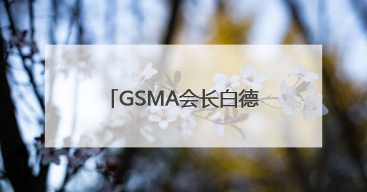 GSMA会长白德伟：预计到2030年中国移动经济体量将达2万亿美元