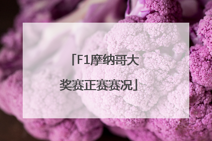 F1摩纳哥大奖赛正赛赛况