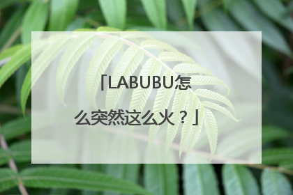 LABUBU怎么突然这么火？
